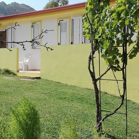 Il Girasole Alloggio Villa Fluminimaggiore Eksteriør billede