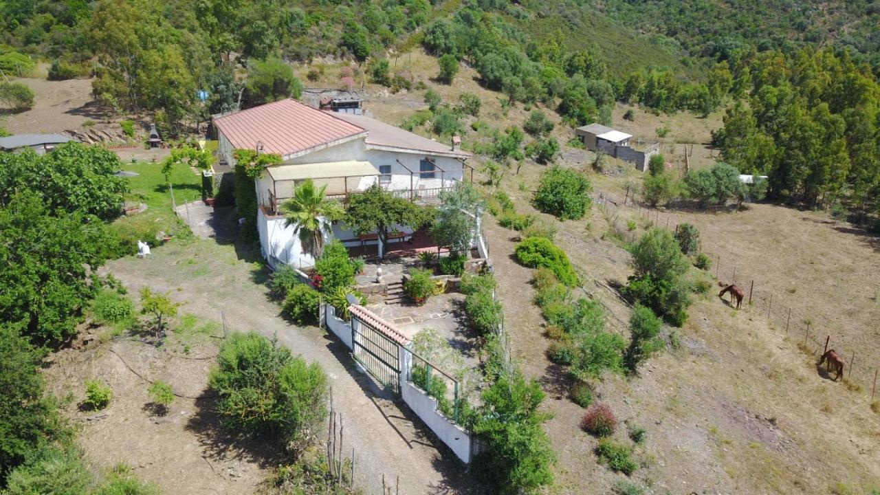 Il Girasole Alloggio Villa Fluminimaggiore Eksteriør billede